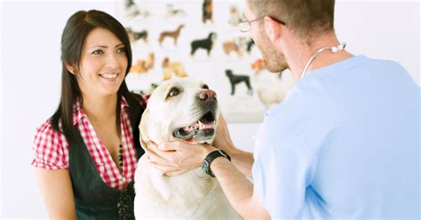 pet insurance that covers vet visits.